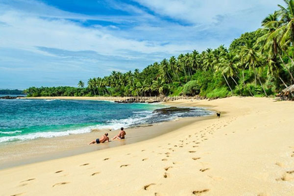 West Coast Beach Bliss – Sri Lanka tour